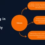 Value of Mentoring in NGO community
