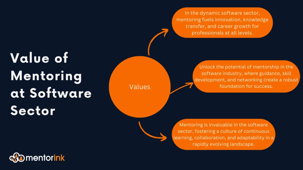 Value of Mentoring at Software sector