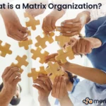 matrix organization