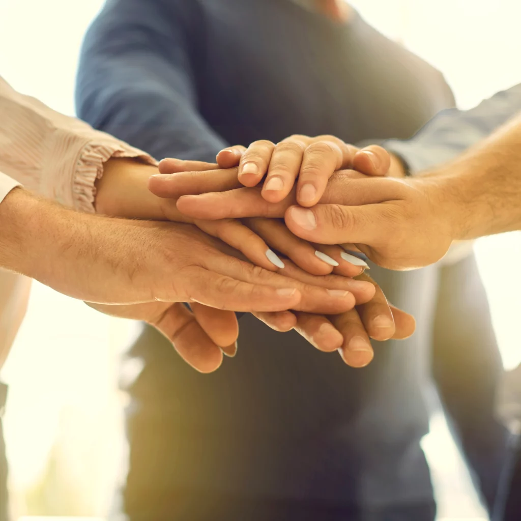 mentoring culture, mentorship culture